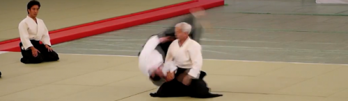 aikido,montlucon asptt,all japan aikido
